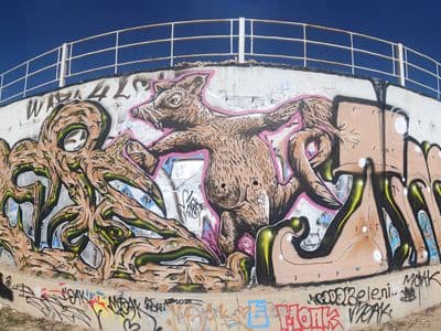 FERS MAUS TMR Limassol