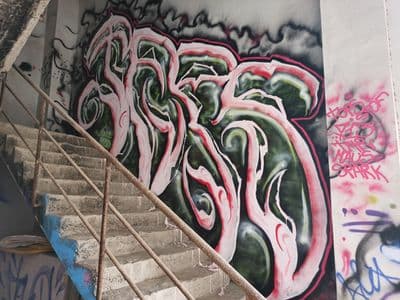 Fers Pink Abandoned
